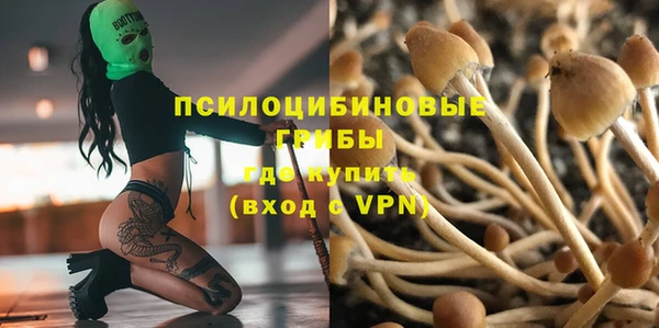 2c-b Балахна