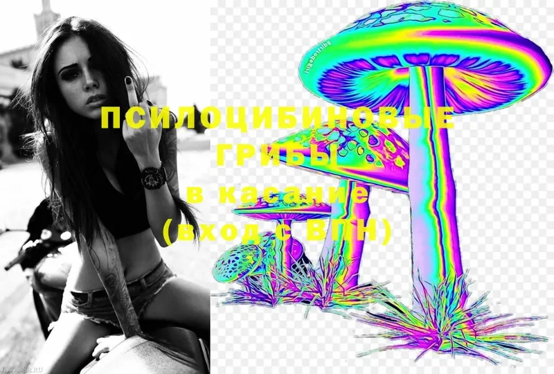 Псилоцибиновые грибы Magic Shrooms  купить   Гудермес 