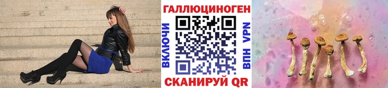 hydra вход  Гудермес  Галлюциногенные грибы прущие грибы 