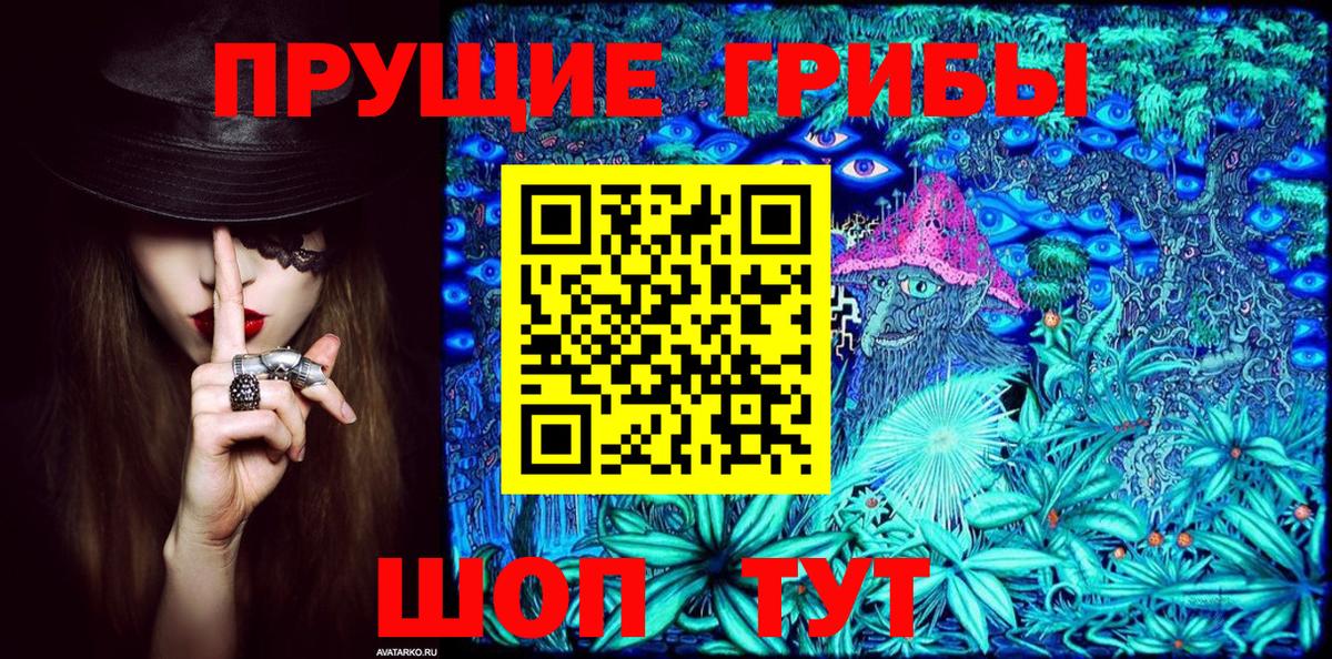 Псилоцибиновые грибы мицелий Гудермес