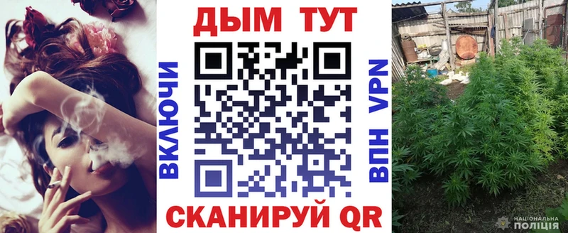 Бошки марихуана Amnesia  Гудермес 