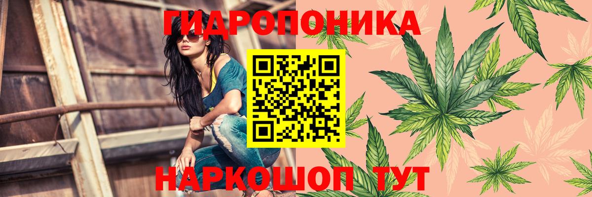 Шишки марихуана White Widow  Вход с VPN  Гудермес  Шишки марихуана AK-47 